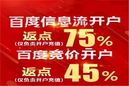 竞价推广成功案例解析